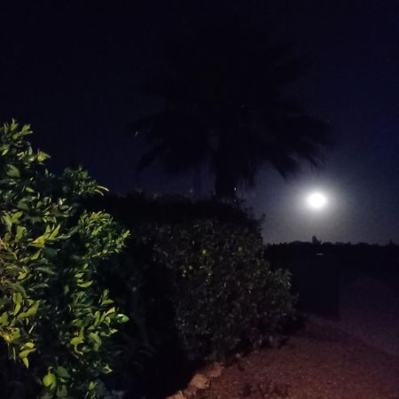 La Buganvilla, Descanso Entre Olivares Hornachuelos Exterior foto