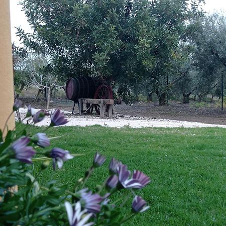La Buganvilla, Descanso Entre Olivares Hornachuelos Exterior foto
