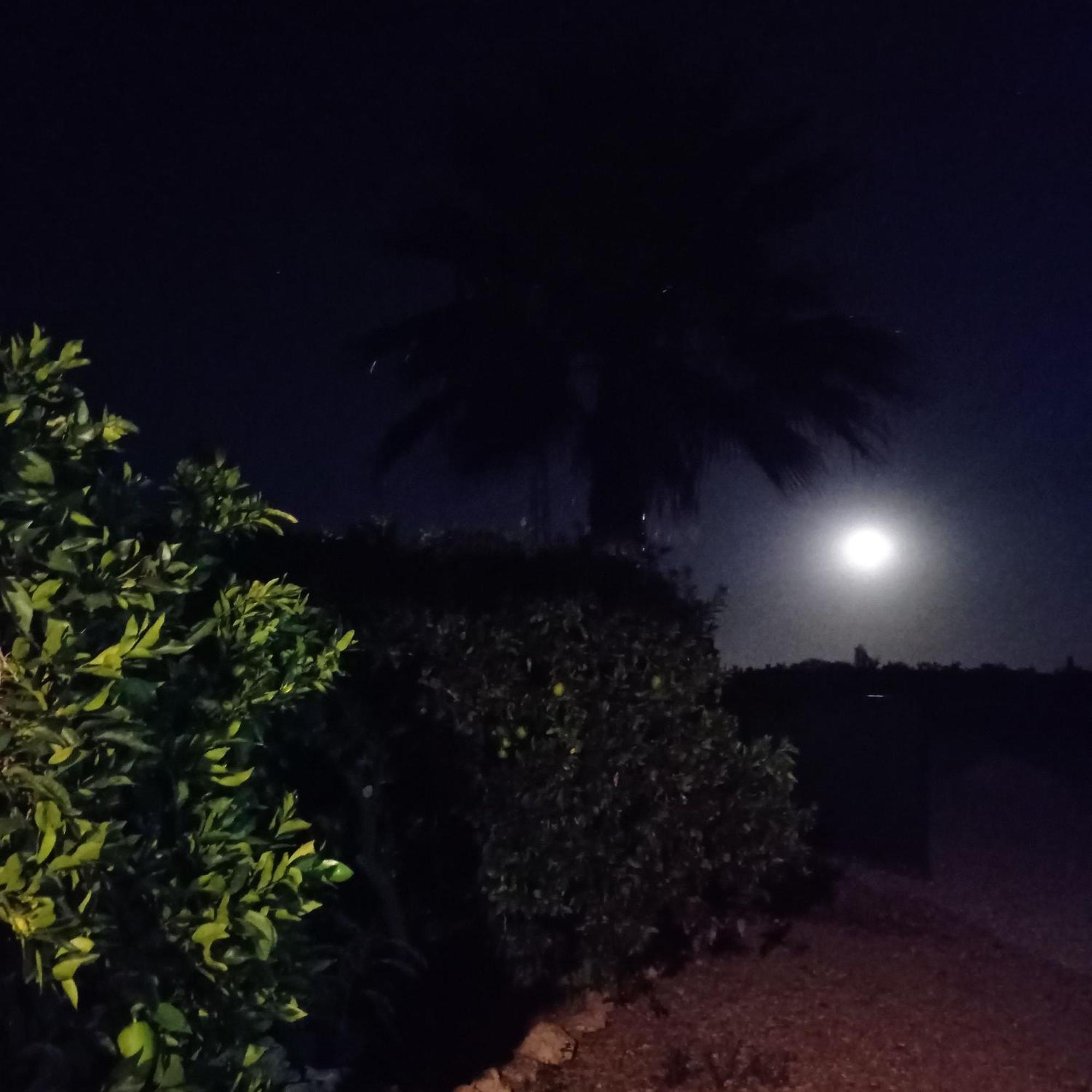 La Buganvilla, Descanso Entre Olivares Hornachuelos Exterior foto